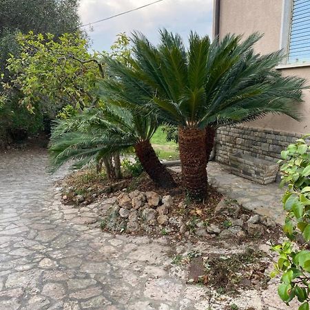 Il Giardino Delle Cycas Διαμέρισμα Romito Magra Εξωτερικό φωτογραφία