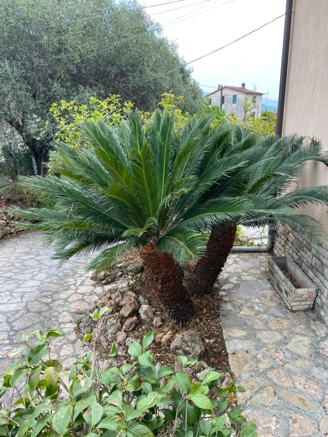 Il Giardino Delle Cycas Διαμέρισμα Romito Magra Εξωτερικό φωτογραφία